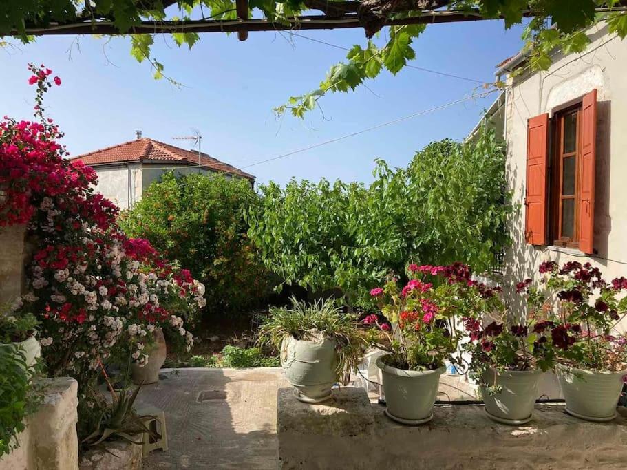 Sergios Village House Hriszí Aktí Haniá Kültér fotó