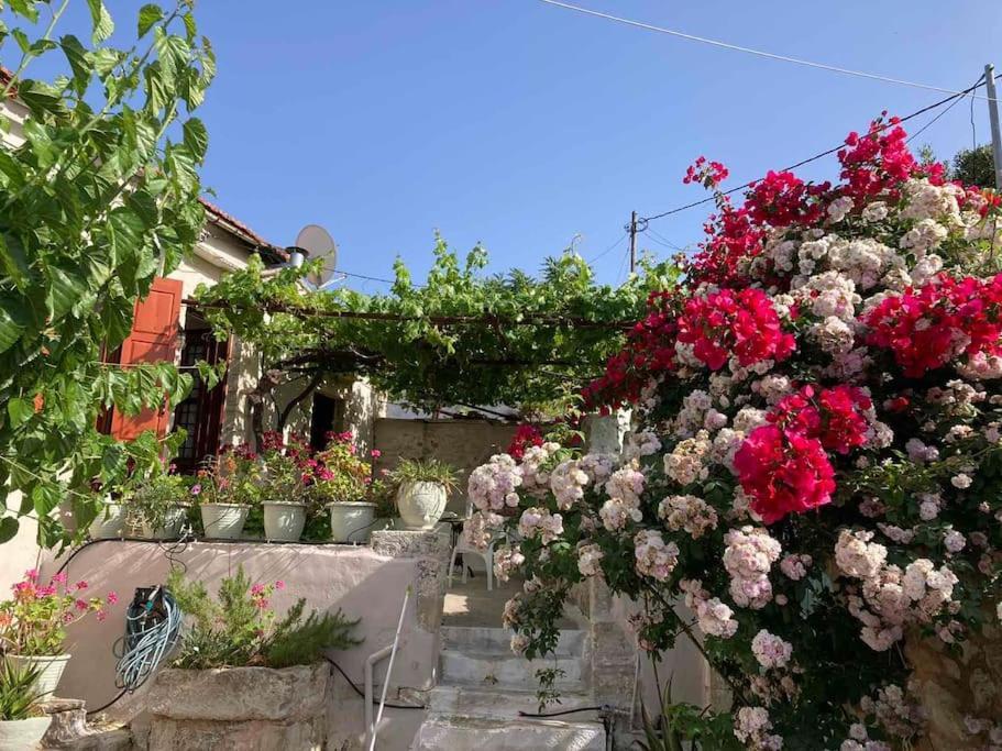 Sergios Village House Hriszí Aktí Haniá Kültér fotó