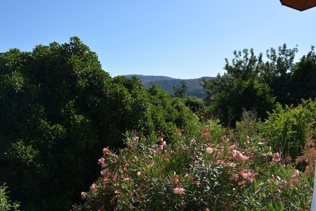 Sergios Village House Hriszí Aktí Haniá Kültér fotó